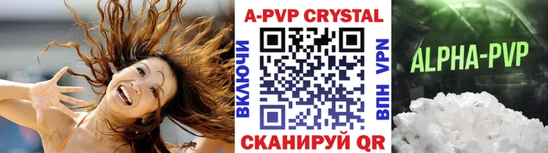APVP СК  Бородино 