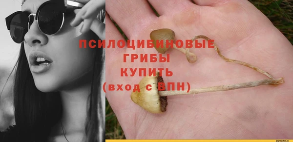 прущие грибы Бронницы
