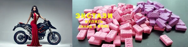 прущие грибы Бронницы