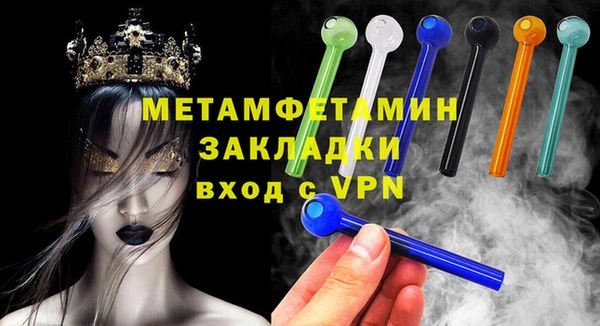 прущие грибы Бронницы