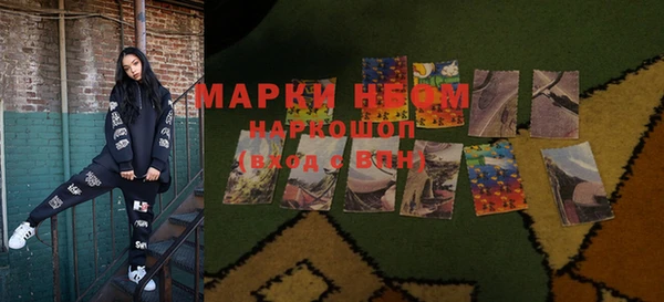 прущие грибы Бронницы