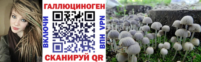 сколько стоит  МЕГА ONION  Галлюциногенные грибы Psilocybine cubensis  Бородино 